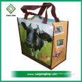 Desigual Laminated PP Non Woven Promotional Bags